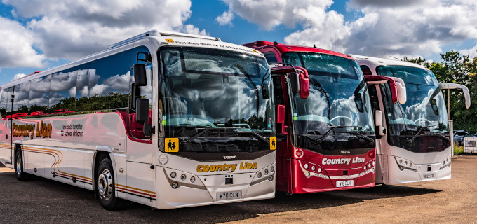 A Country Lion Coach