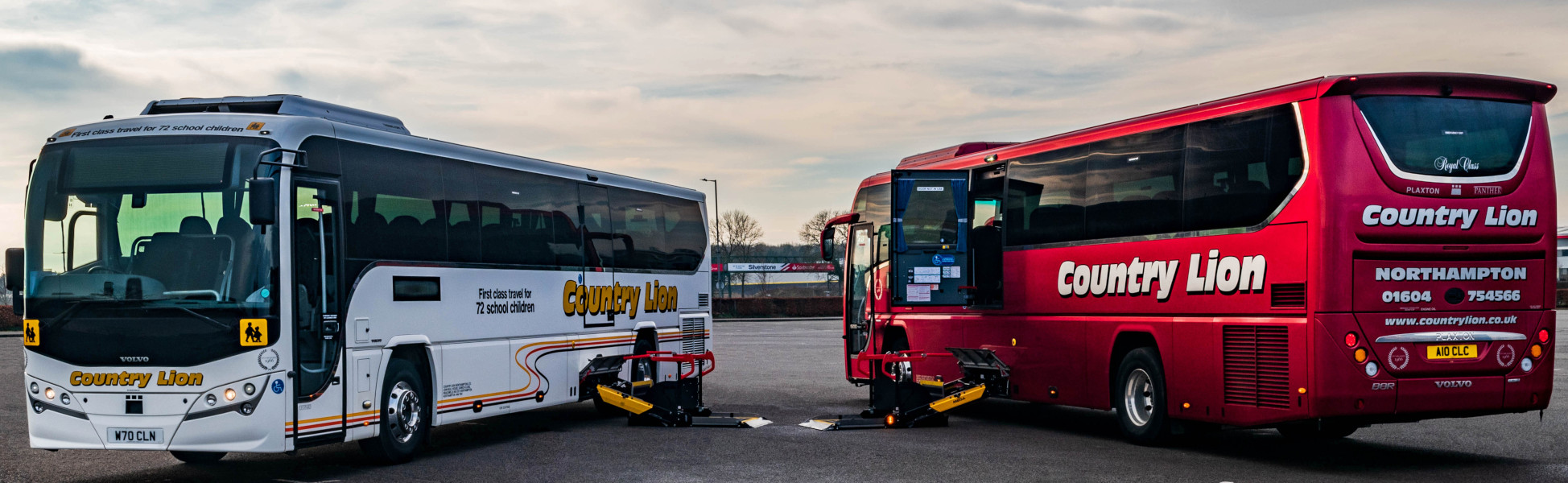 Country Lion with wheelchair ramps